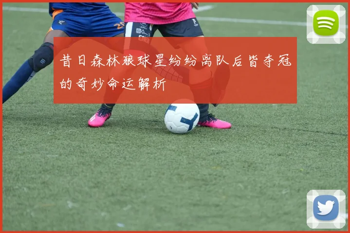 昔日森林狼球星纷纷离队后皆夺冠的奇妙命运解析
